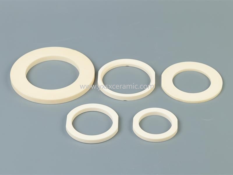 shenxing seramik yüksek hassasiyetli korozyona dayanıklı valf pompası %99 alümina seramik sızdırmazlık halkası - Yixing Shenxing