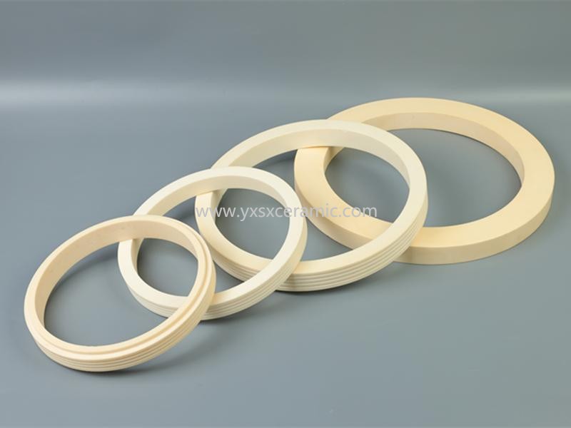 shenxing seramik pompa %99 alümina seramik kayar halka - Yixing Shenxing